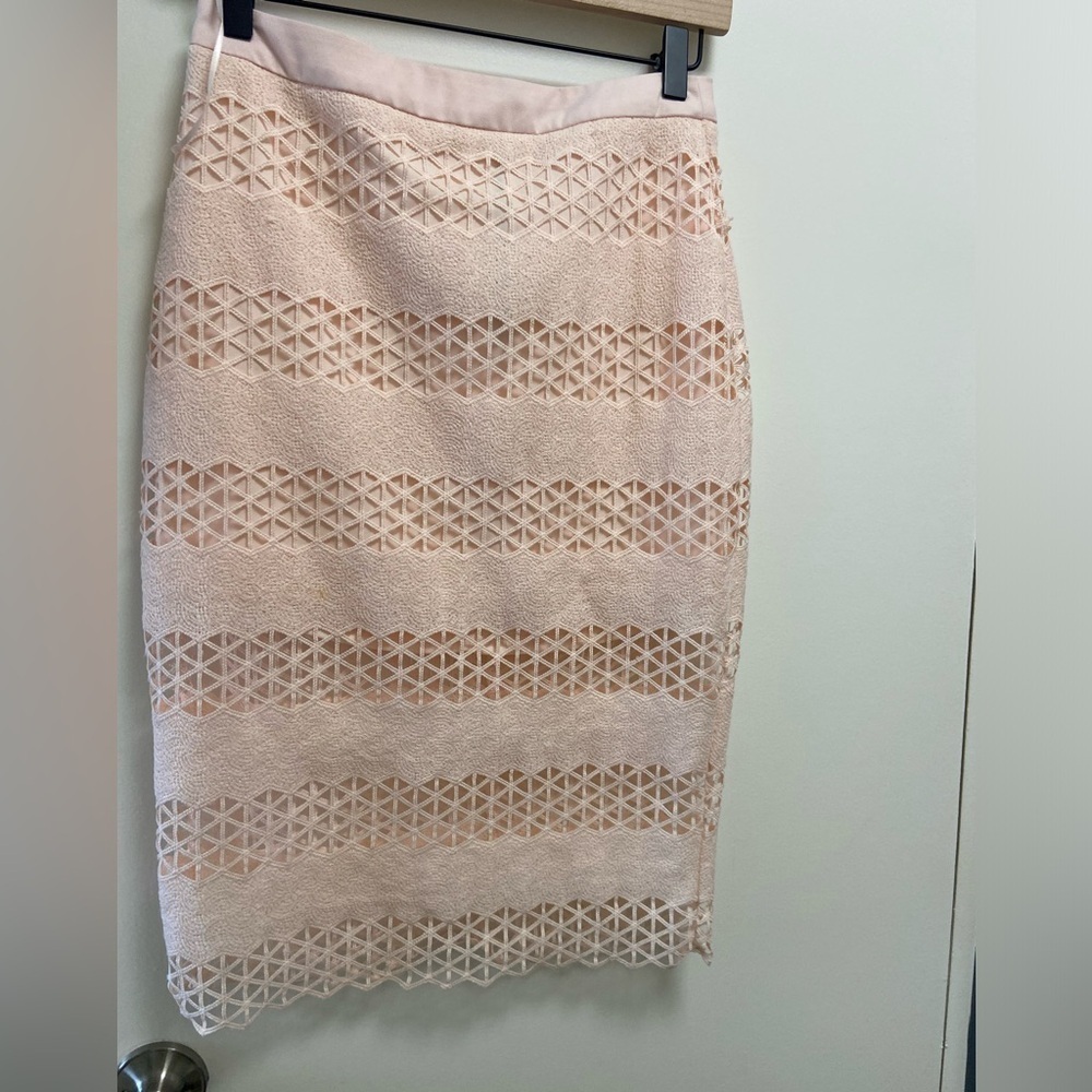 Astr Small ballet pink lace over slip skirt
